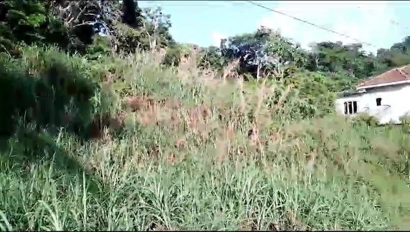 Second image of Lot 8-20 Aberdeen in Browns Town, St. Ann, Jamaica - property is For Sale