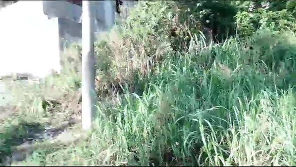 Fourth image of Lot 8-20 Aberdeen in Browns Town, St. Ann, Jamaica - property is For Sale