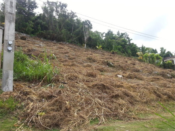 First image of Lot 8-20 Aberdeen in Browns Town, St. Ann, Jamaica - property is For Sale
