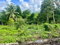 First image of 13-arthur dr Linstead in Linstead, St. Catherine, Jamaica - property is For Sale