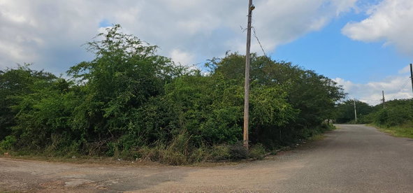 Third image of 274 Evans Avenue, St. John's in Spanish Town, St. Catherine, Jamaica - property is For Sale
