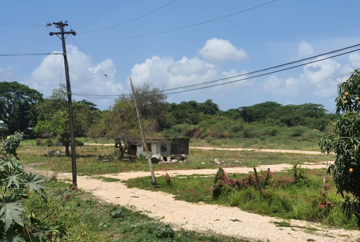 Sixth image of Wynters Pen in Spanish Town, St. Catherine, Jamaica - property is For Sale