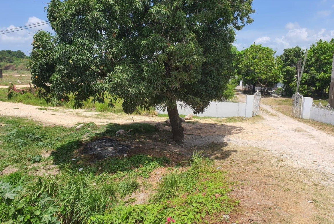 Seventh image of Wynters Pen in Spanish Town, St. Catherine, Jamaica - property is For Sale