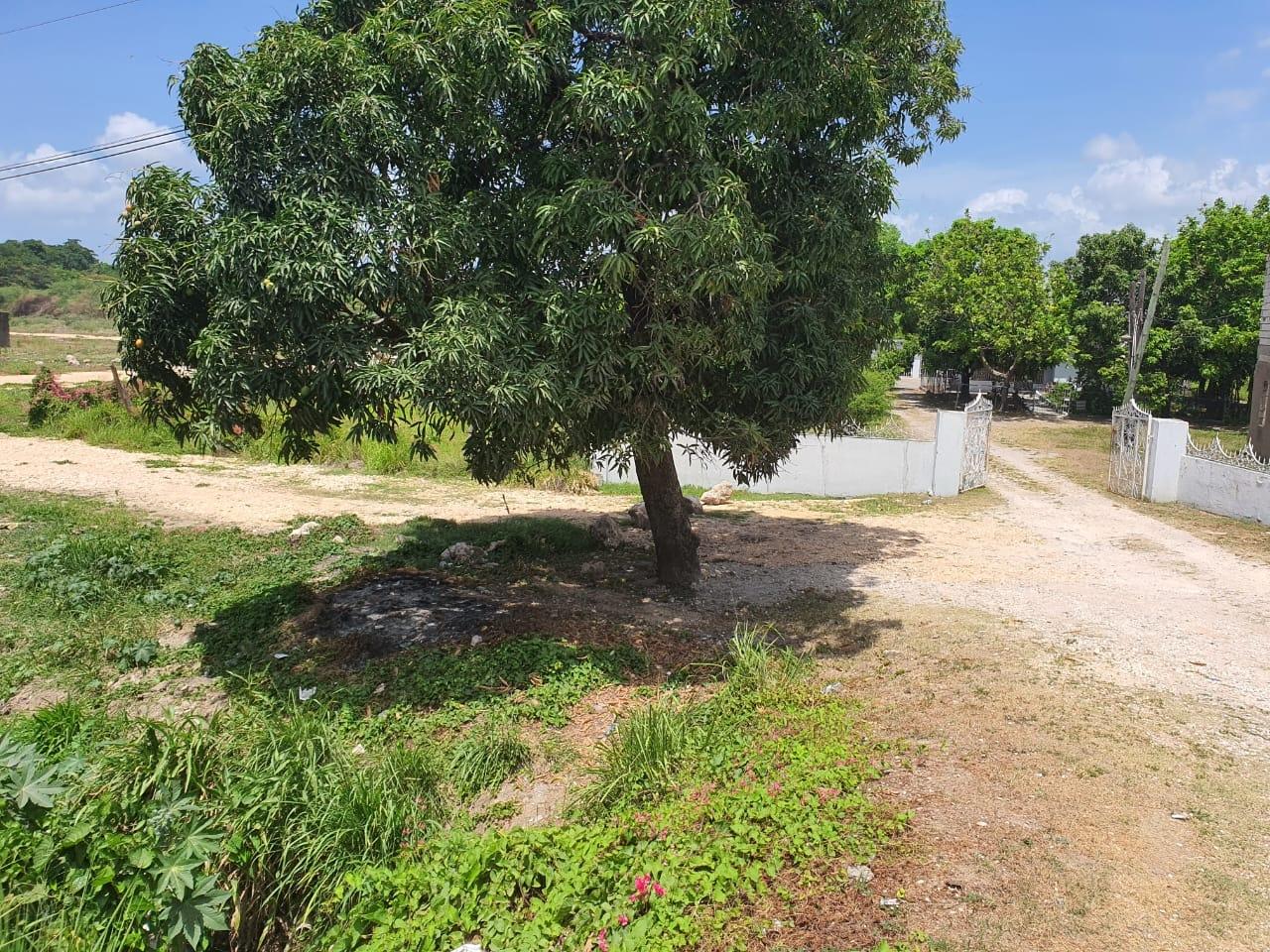 Seventh image of Wynters Pen in Spanish Town, St. Catherine, Jamaica - property is For Sale