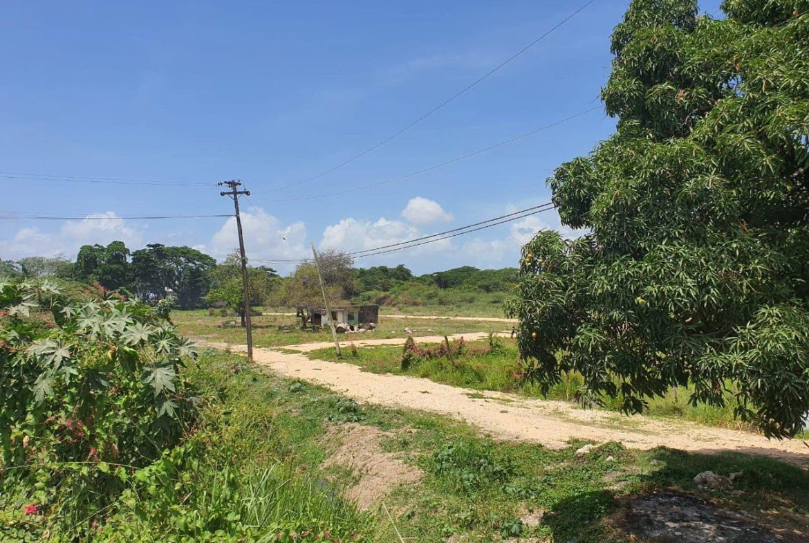 Eighth image of Wynters Pen in Spanish Town, St. Catherine, Jamaica - property is For Sale