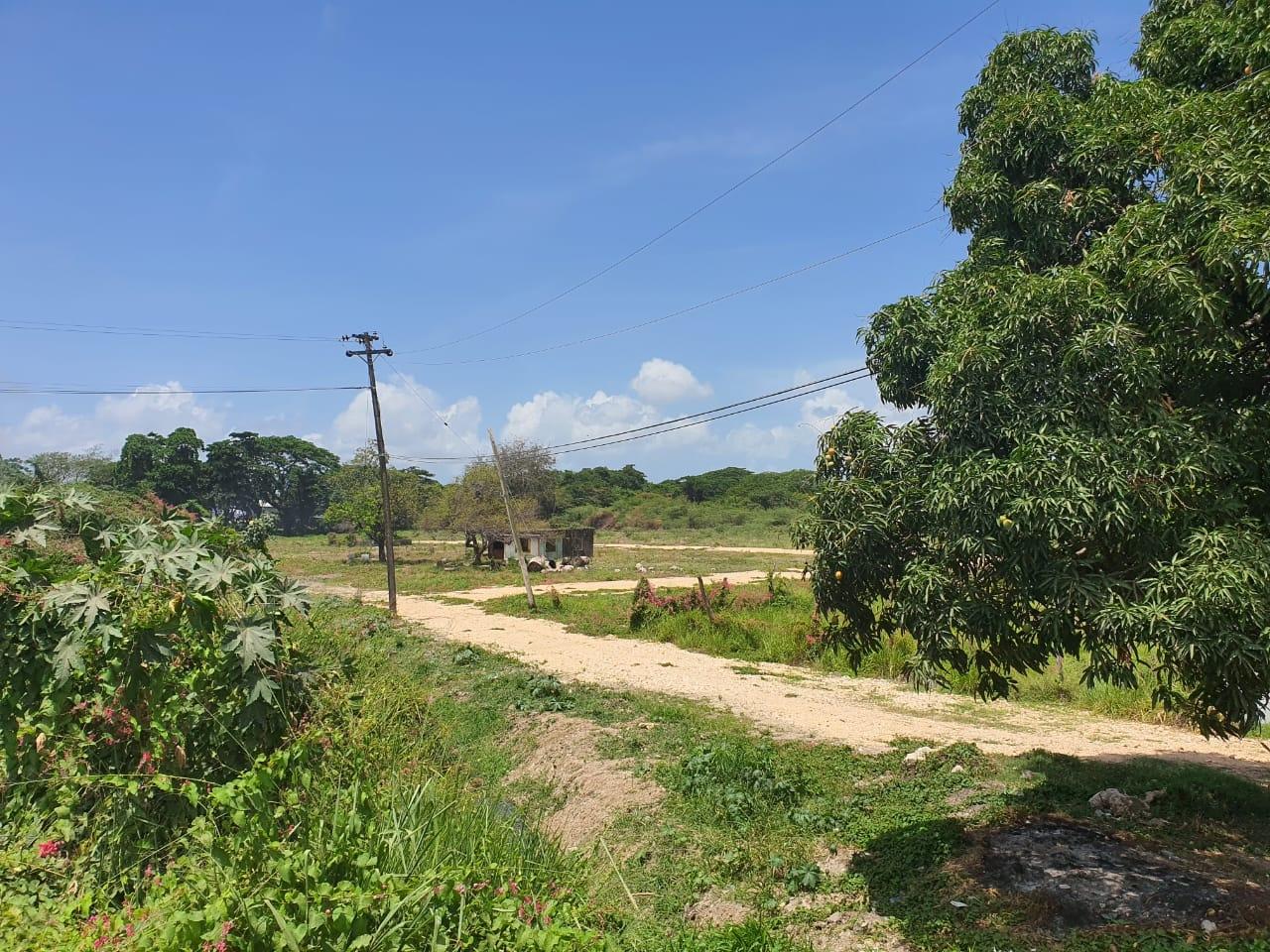 Eighth image of Wynters Pen in Spanish Town, St. Catherine, Jamaica - property is For Sale