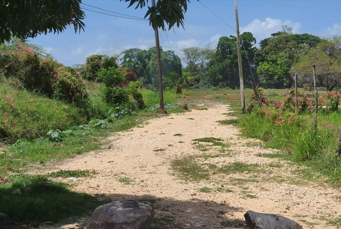 Tenth image of Wynters Pen in Spanish Town, St. Catherine, Jamaica - property is For Sale