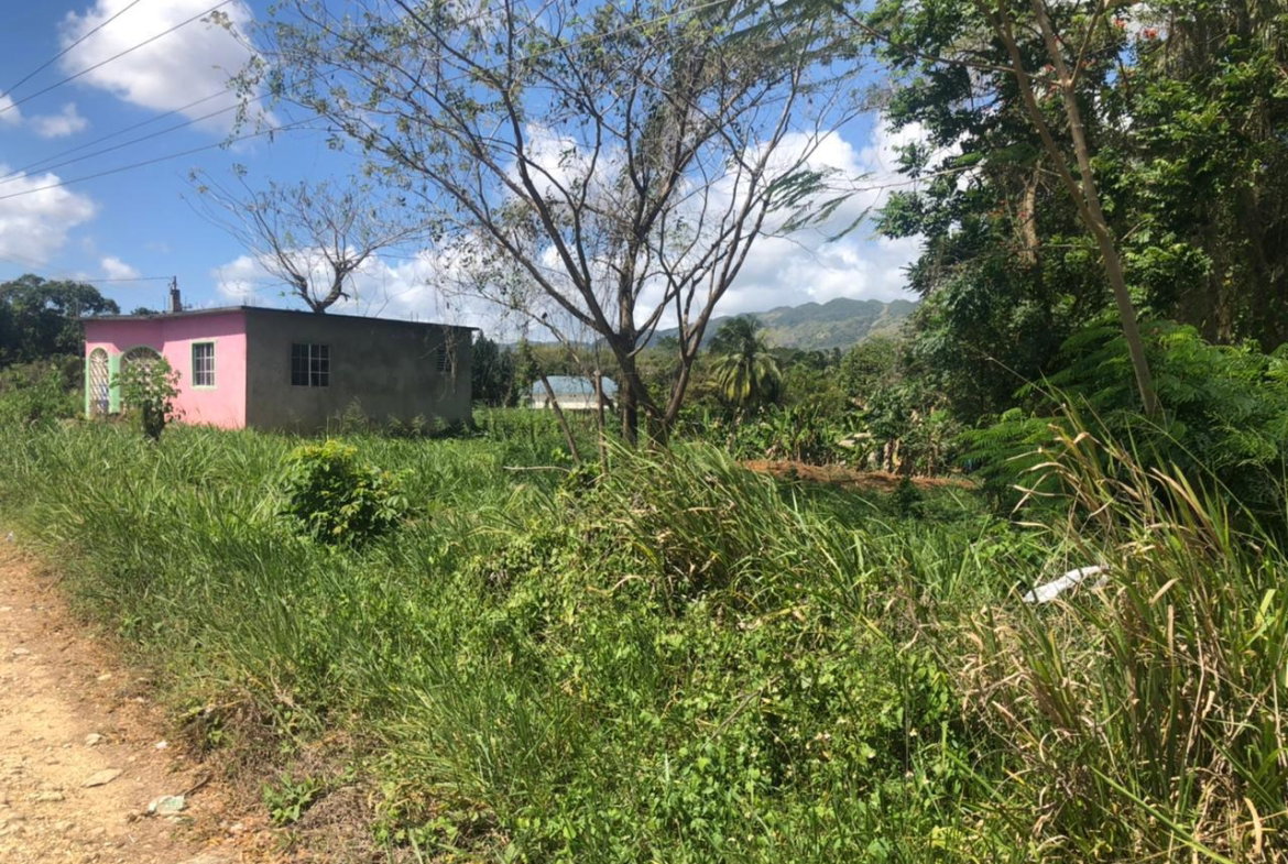 Second image of Part of Wallen's Linstead in Linstead, St. Catherine, Jamaica - property is For Sale