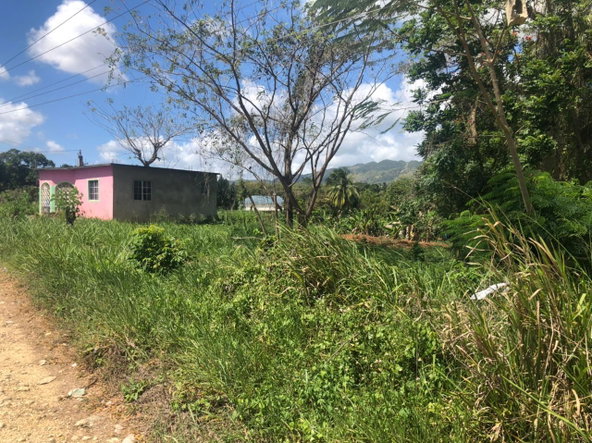 Second image of Part of Wallen's Linstead in Linstead, St. Catherine, Jamaica - property is For Sale