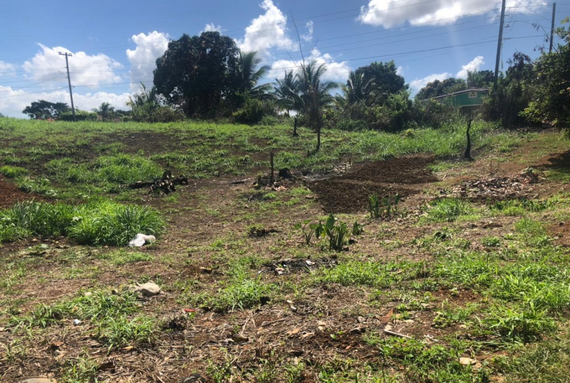 Third image of Part of Wallen's Linstead in Linstead, St. Catherine, Jamaica - property is For Sale