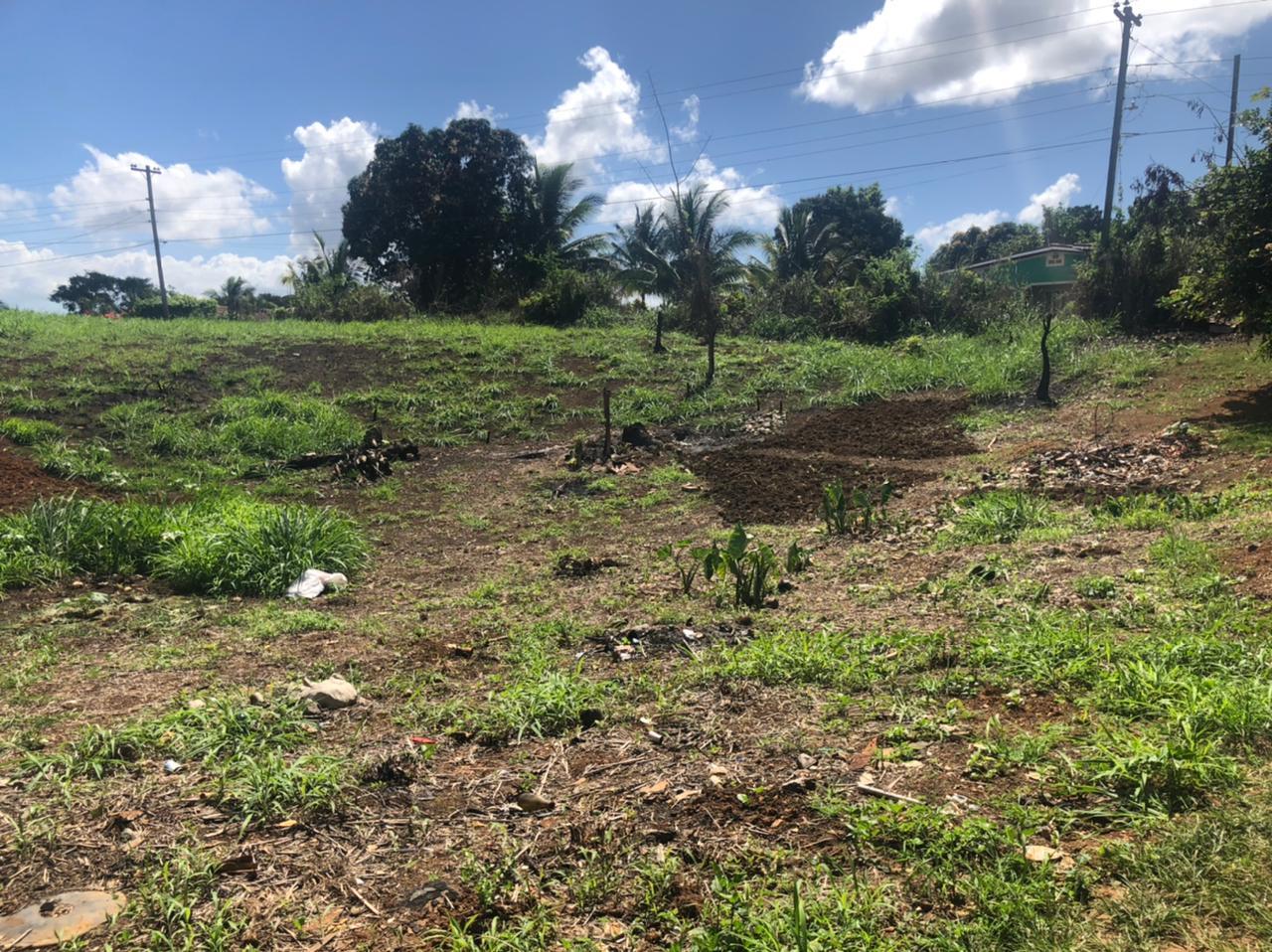 Third image of Part of Wallen's Linstead in Linstead, St. Catherine, Jamaica - property is For Sale