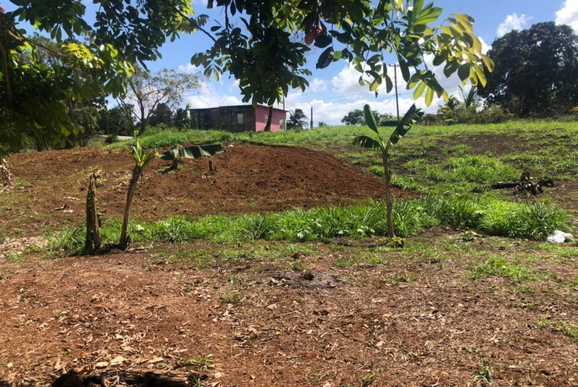 Fourth image of Part of Wallen's Linstead in Linstead, St. Catherine, Jamaica - property is For Sale