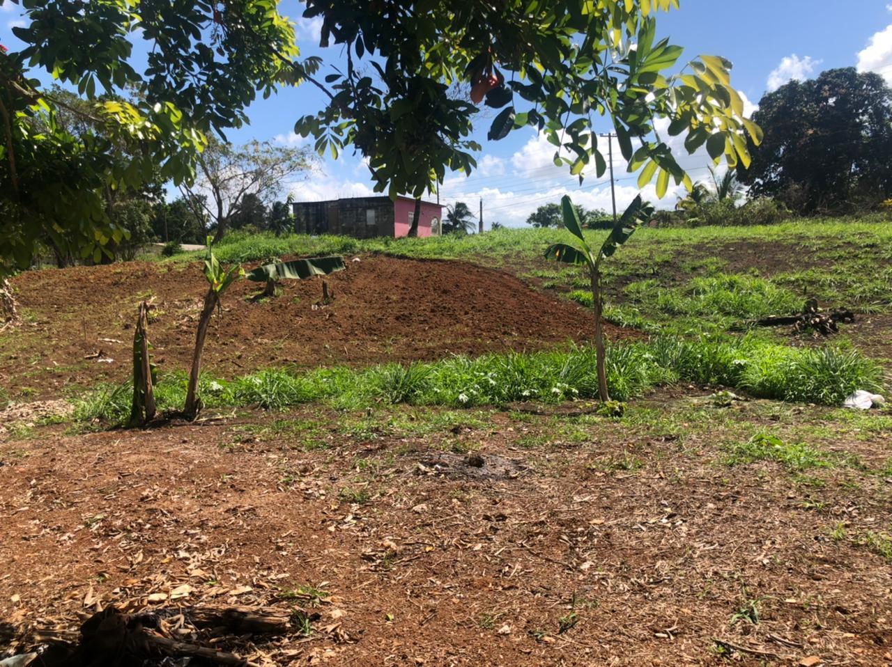 Fourth image of Part of Wallen's Linstead in Linstead, St. Catherine, Jamaica - property is For Sale