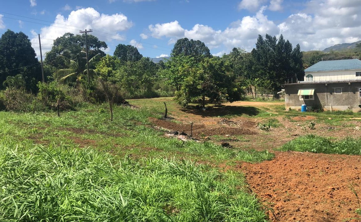 Sixth image of Part of Wallen's Linstead in Linstead, St. Catherine, Jamaica - property is For Sale