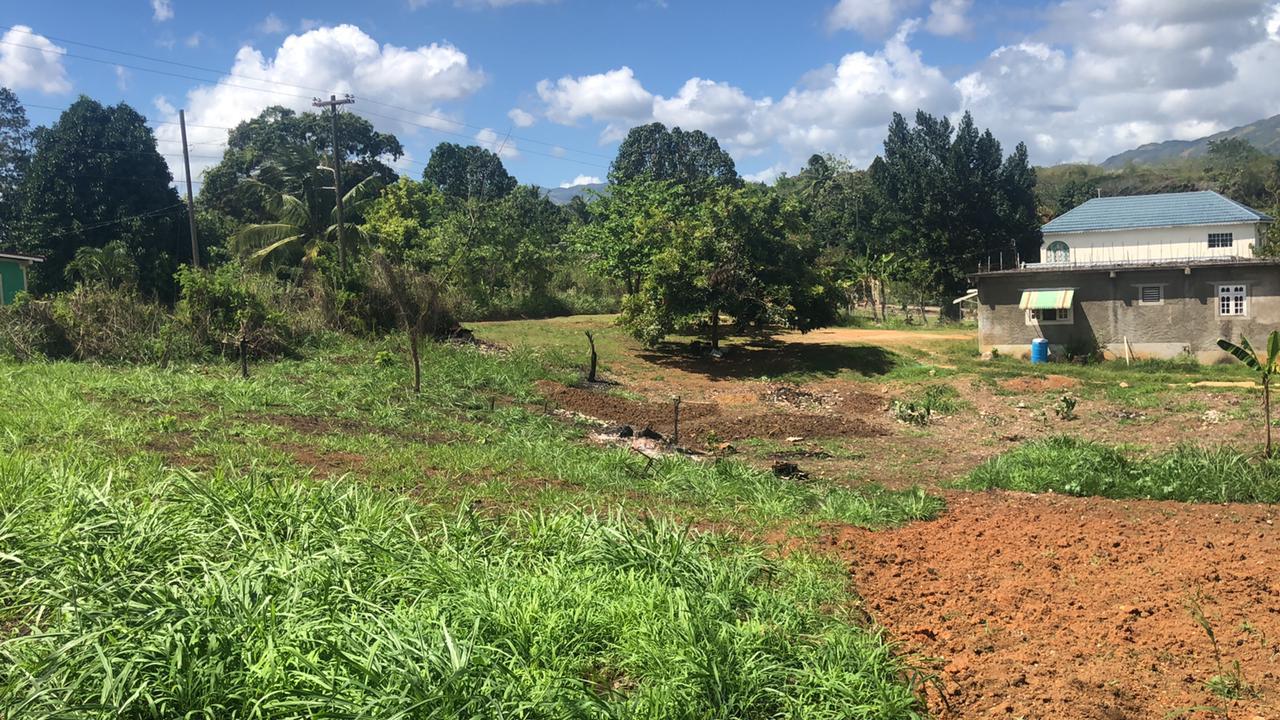 Sixth image of Part of Wallen's Linstead in Linstead, St. Catherine, Jamaica - property is For Sale