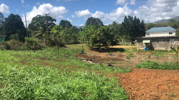 Sixth image of Part of Wallen's Linstead in Linstead, St. Catherine, Jamaica - property is For Sale