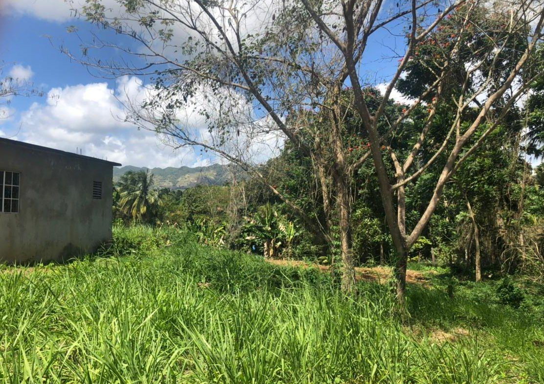 Seventh image of Part of Wallen's Linstead in Linstead, St. Catherine, Jamaica - property is For Sale