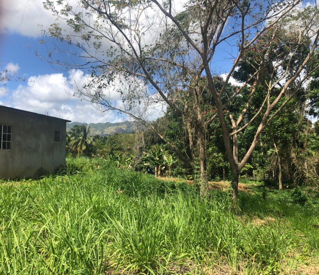 Seventh image of Part of Wallen's Linstead in Linstead, St. Catherine, Jamaica - property is For Sale