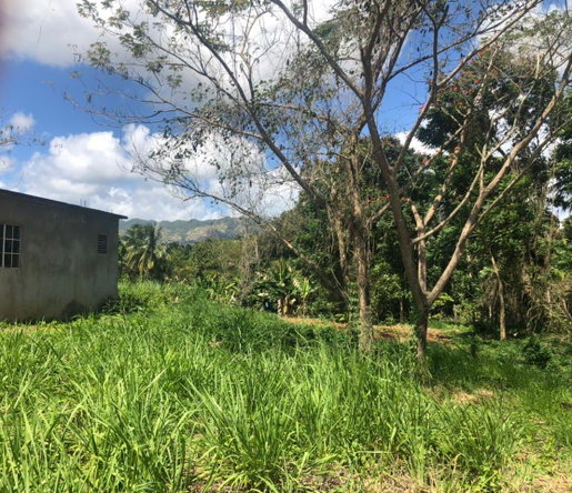 Seventh image of Part of Wallen's Linstead in Linstead, St. Catherine, Jamaica - property is For Sale