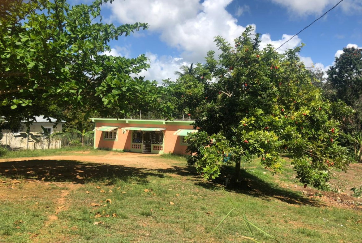 Eighth image of Part of Wallen's Linstead in Linstead, St. Catherine, Jamaica - property is For Sale