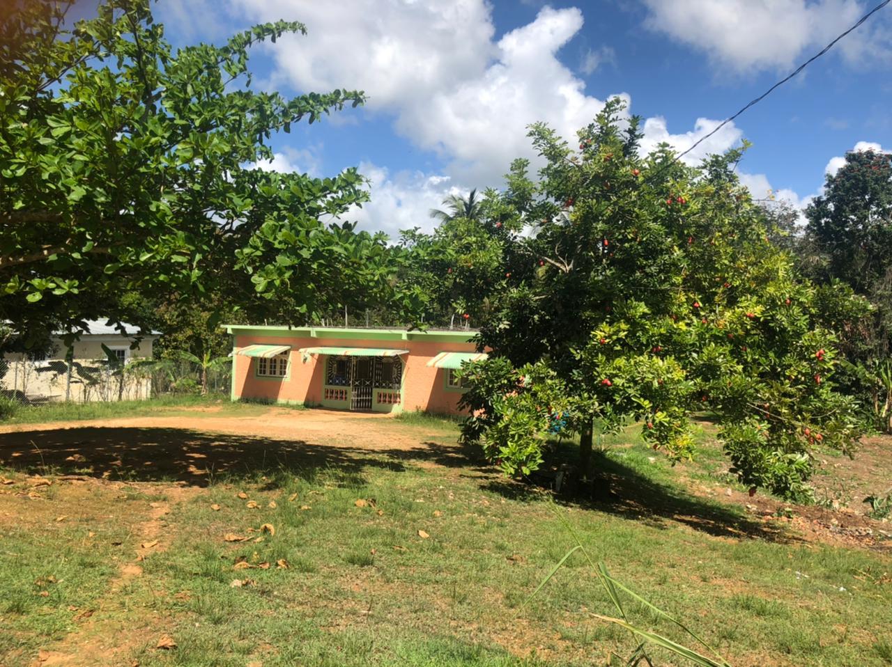 Eighth image of Part of Wallen's Linstead in Linstead, St. Catherine, Jamaica - property is For Sale