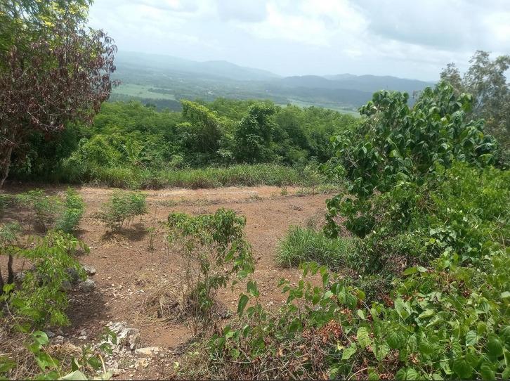Fifth image of Lot 3 Keith Hall, Sligoville in Sligoville, St. Catherine, Jamaica - property is For Sale