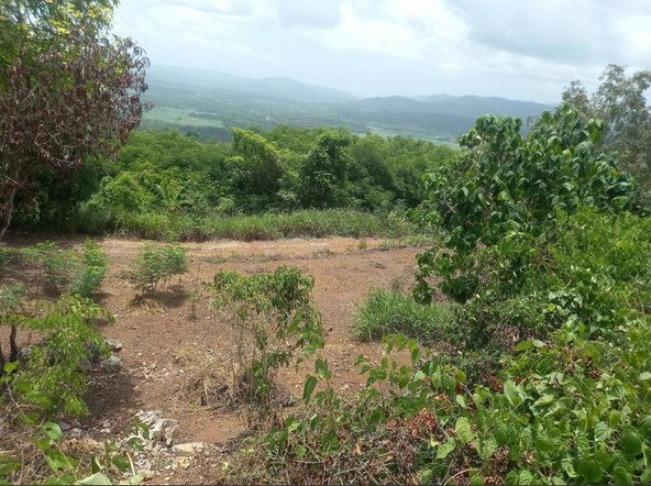 Fifth image of Lot 3 Keith Hall, Sligoville in Sligoville, St. Catherine, Jamaica - property is For Sale