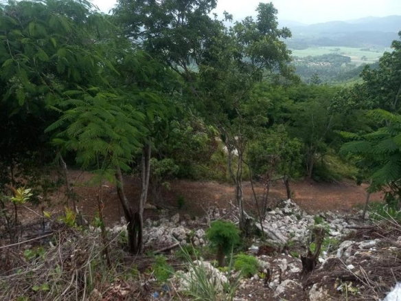 First image of Lot 3 Keith Hall, Sligoville in Sligoville, St. Catherine, Jamaica - property is For Sale