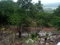 First image of Lot 3 Keith Hall, Sligoville in Sligoville, St. Catherine, Jamaica - property is For Sale