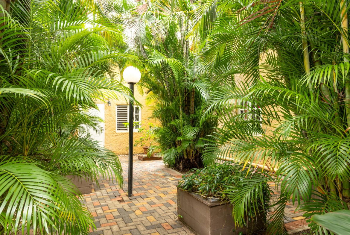 Third image of 2-3 Hillcrest Avenue in Kingston 6, St. Andrew, Jamaica - property is For Sale