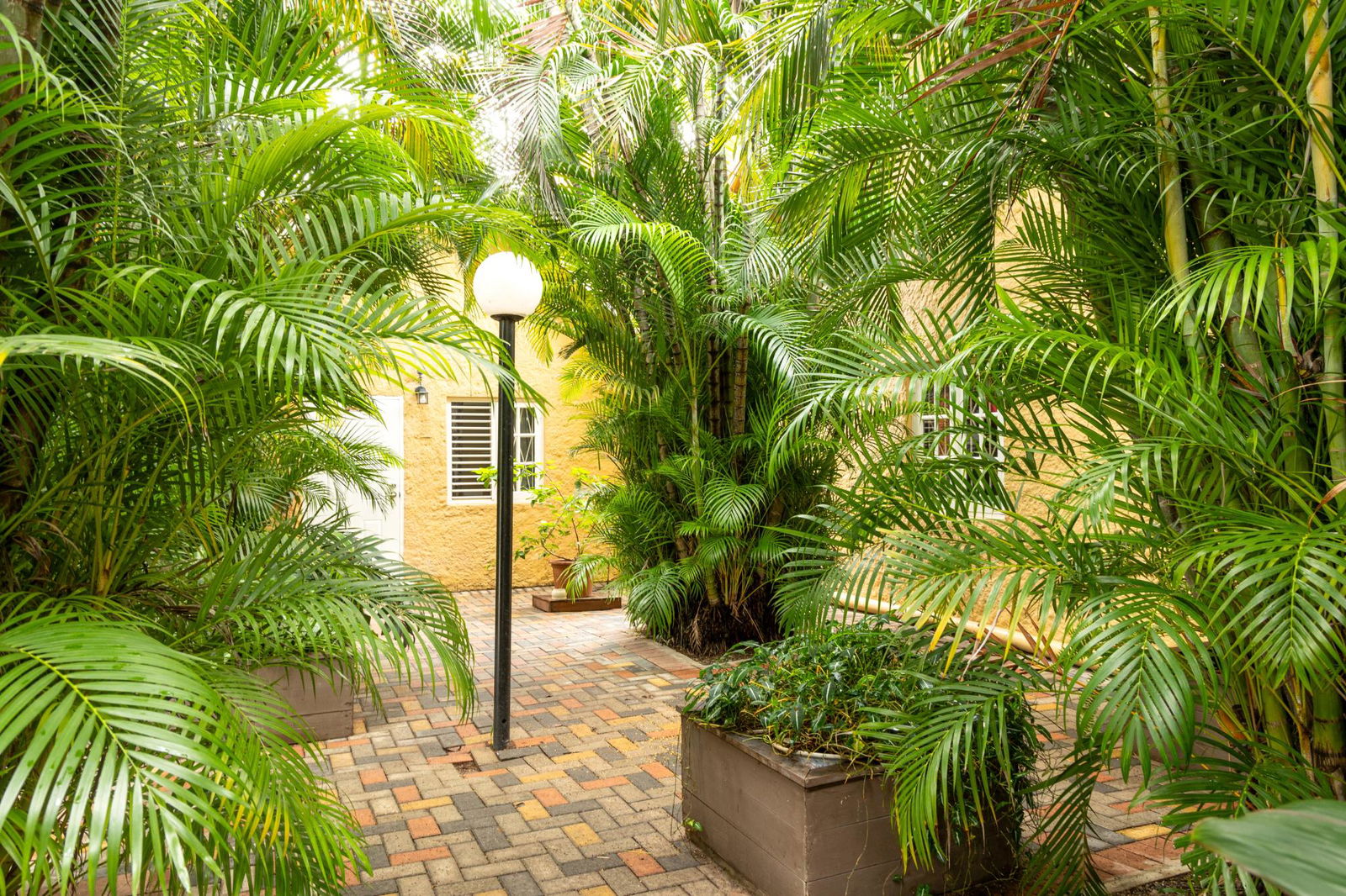 Spacious-1-Bedroom-Loft-for-Sale-in-Hillcrest-Village-Jamaica Third image of 2-3 Hillcrest Avenue in Kingston 6, St. Andrew, Jamaica - property is For Sale