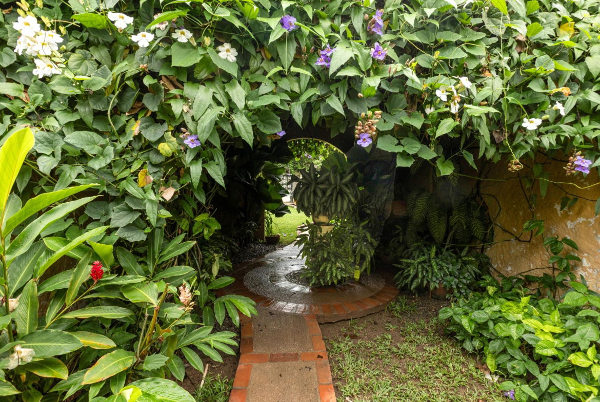 Tenth image of 2-3 Hillcrest Avenue in Kingston 6, St. Andrew, Jamaica - property is For Sale