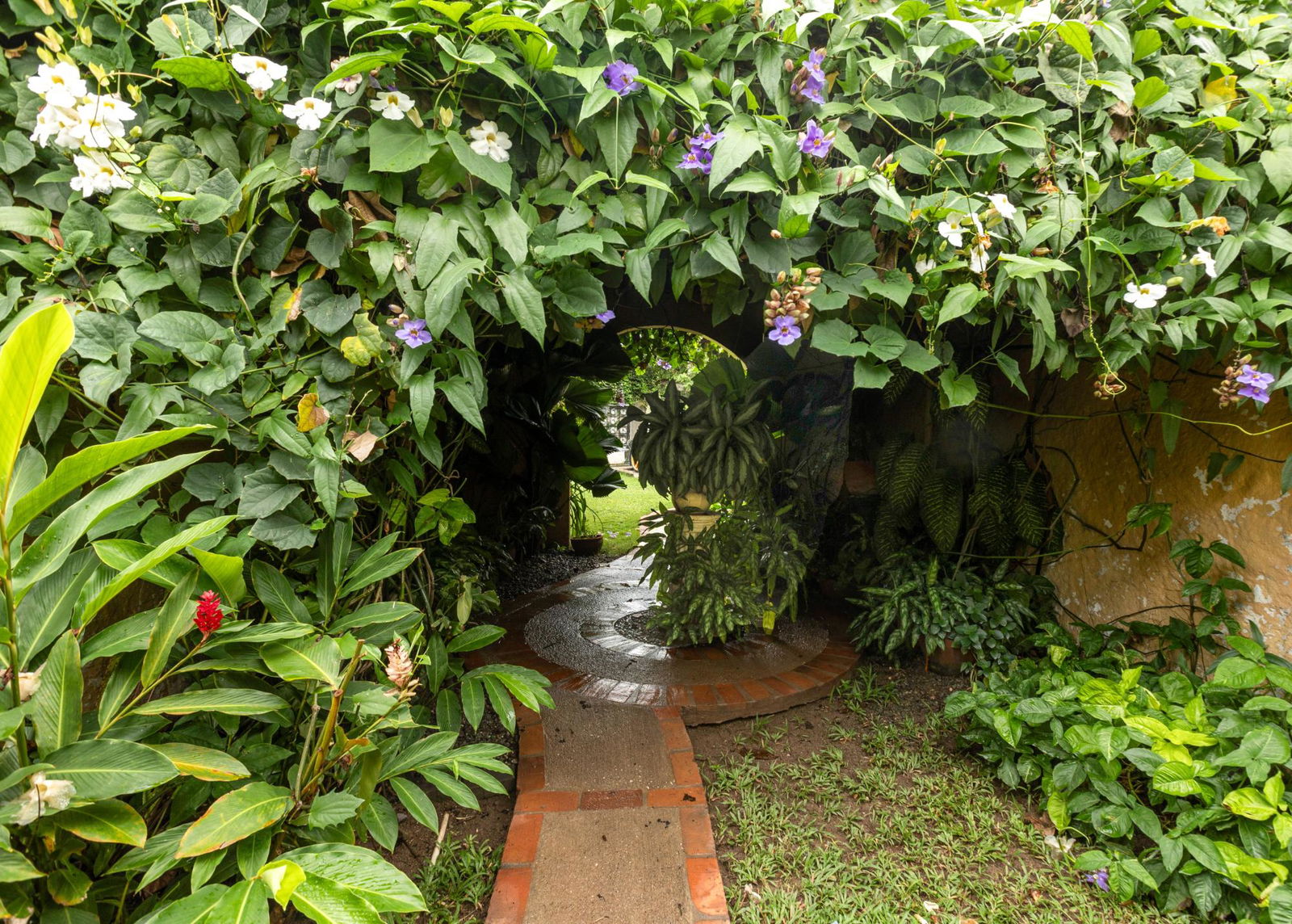 Spacious-1-Bedroom-Loft-for-Sale-in-Hillcrest-Village-Jamaica Tenth image of 2-3 Hillcrest Avenue in Kingston 6, St. Andrew, Jamaica - property is For Sale