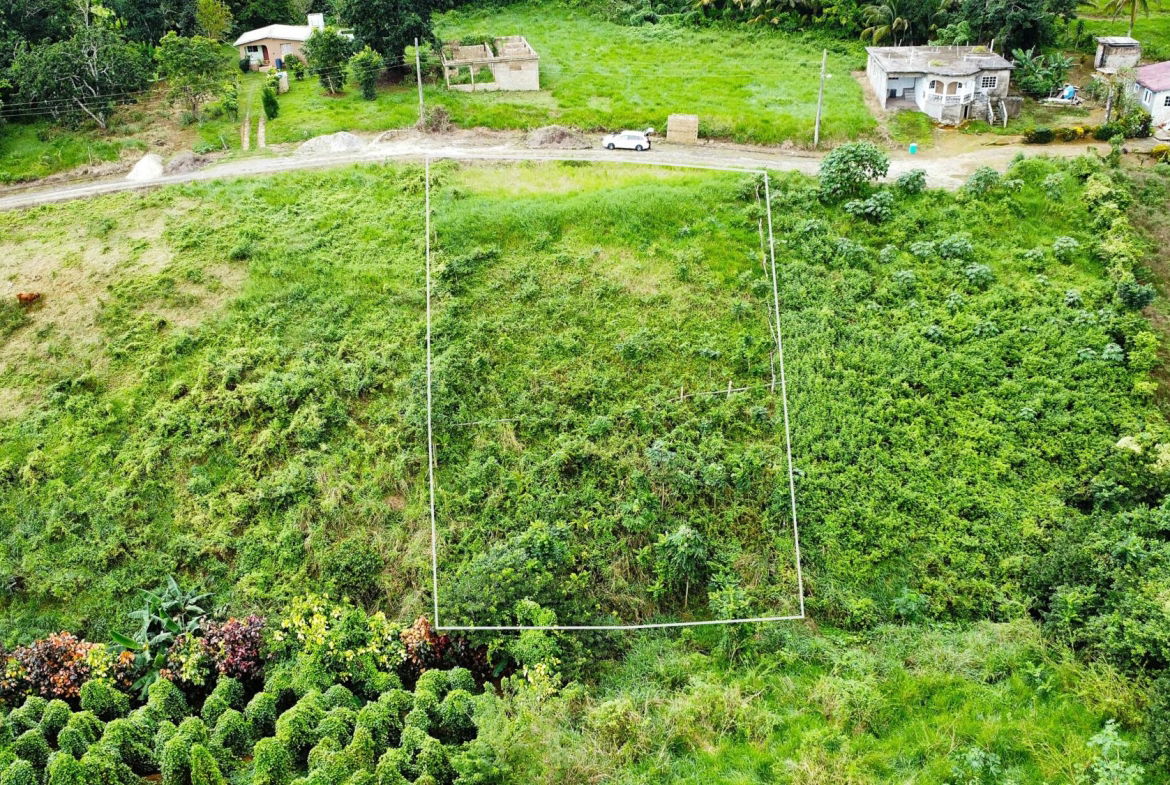 First image of 64- The Thicketts, Hermitage in Hermitage, St. Ann, Jamaica - property is For Sale