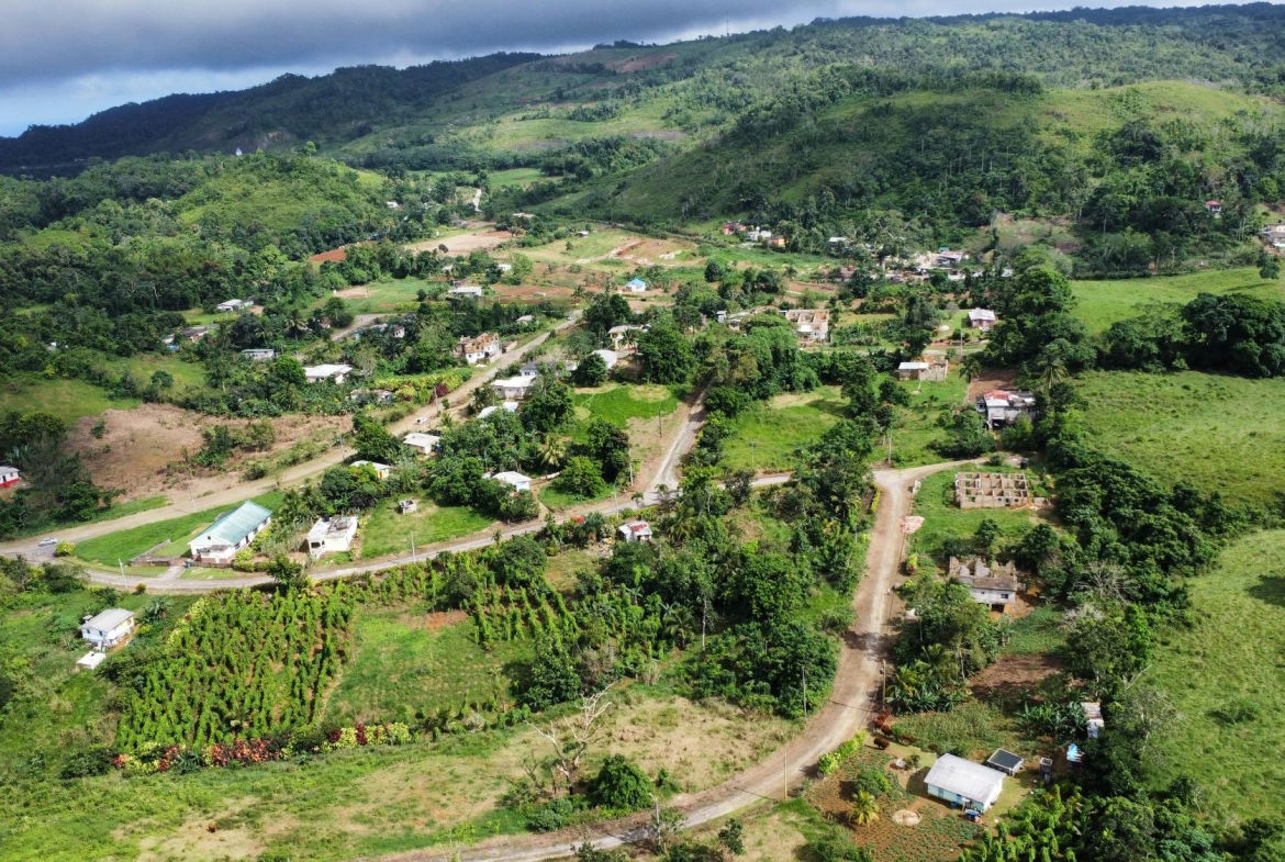 Fourteenth image of 64- The Thicketts, Hermitage in Hermitage, St. Ann, Jamaica - property is For Sale