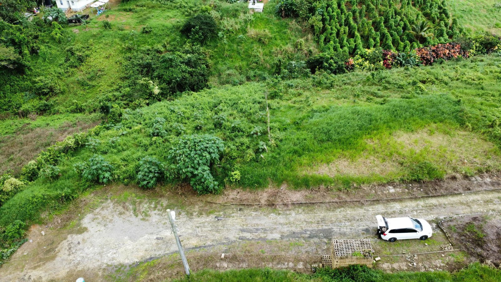 Spacious-14-Acre-Residential-Lot-for-Sale-in-St.-Ann-Jamaica Third image of 64- The Thicketts, Hermitage in Hermitage, St. Ann, Jamaica - property is For Sale