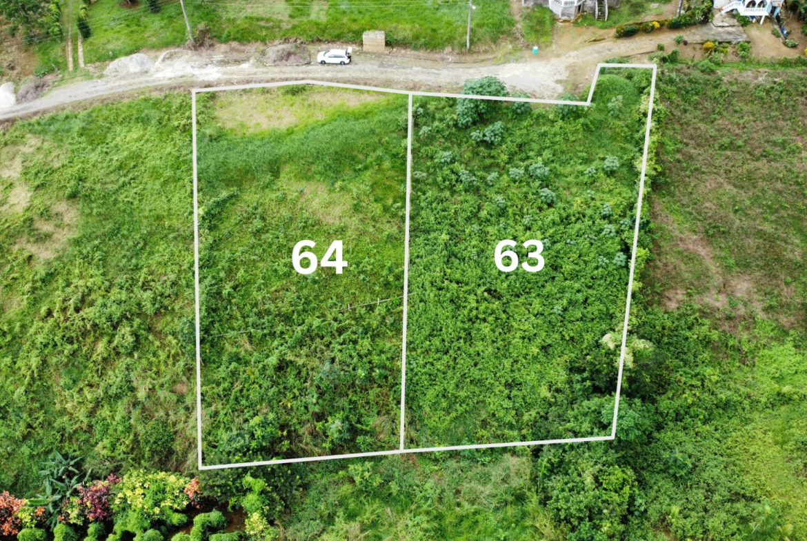 Fifth image of 64- The Thicketts, Hermitage in Hermitage, St. Ann, Jamaica - property is For Sale