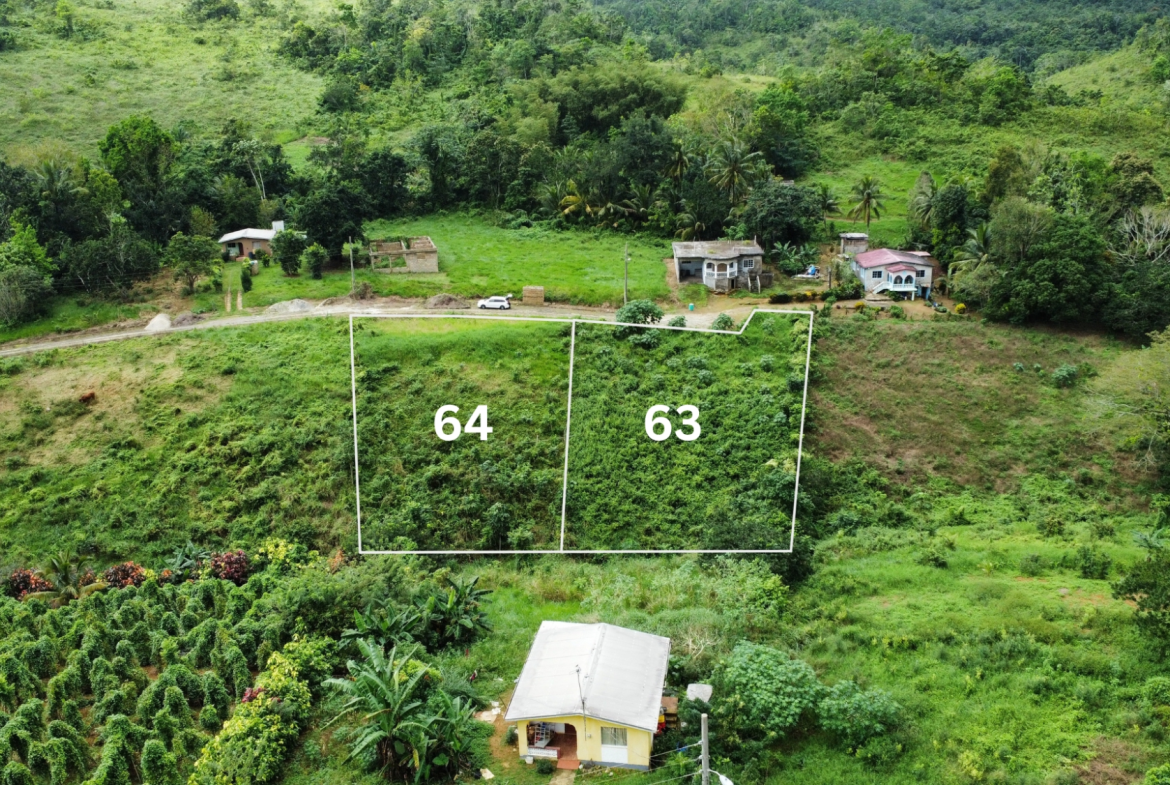 Sixth image of 64- The Thicketts, Hermitage in Hermitage, St. Ann, Jamaica - property is For Sale