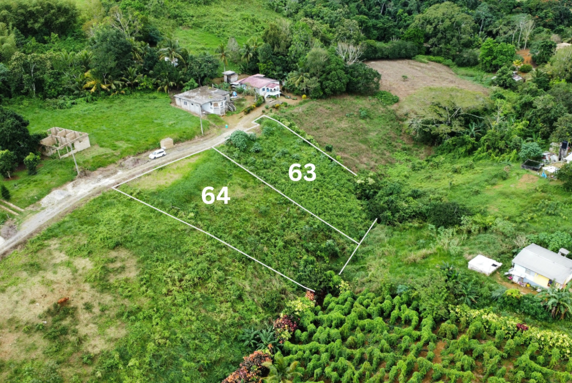 Seventh image of 64- The Thicketts, Hermitage in Hermitage, St. Ann, Jamaica - property is For Sale