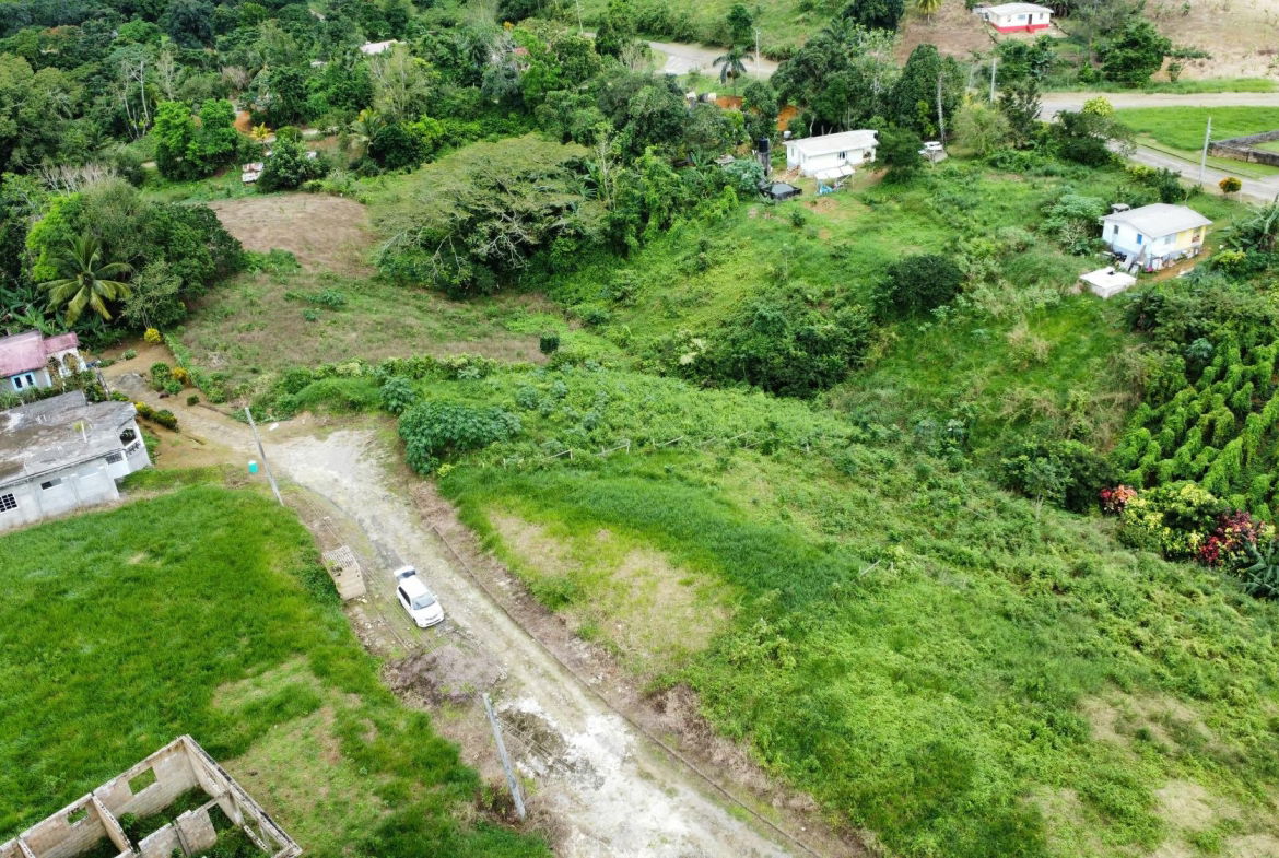 Eighth image of 64- The Thicketts, Hermitage in Hermitage, St. Ann, Jamaica - property is For Sale