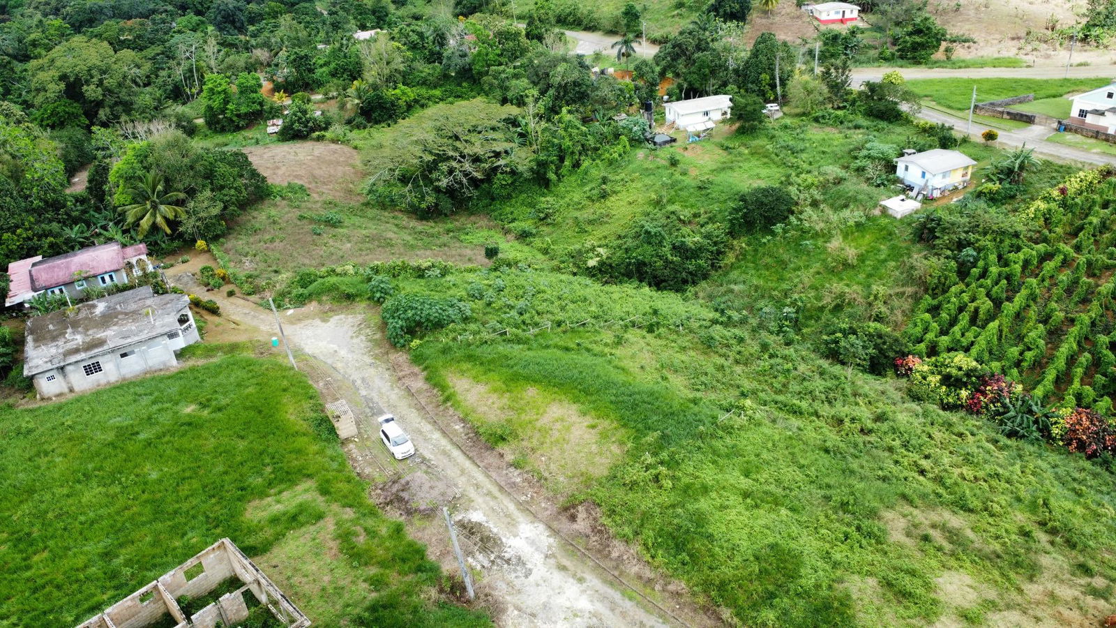 Spacious-14-Acre-Residential-Lot-for-Sale-in-St.-Ann-Jamaica Eighth image of 64- The Thicketts, Hermitage in Hermitage, St. Ann, Jamaica - property is For Sale
