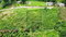 First image of 64- The Thicketts, Hermitage in Hermitage, St. Ann, Jamaica - property is For Sale