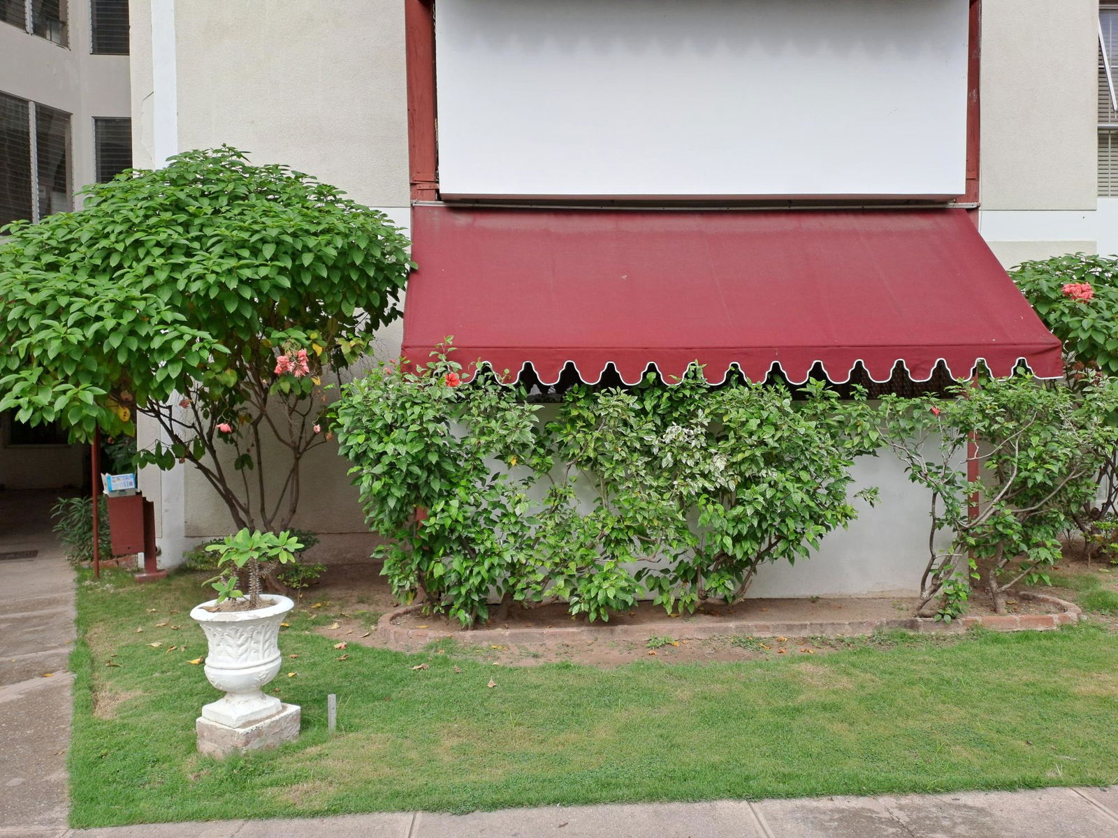 Third image of Abbey Court, Trafalgar rd in Kingston 10, St. Andrew, Jamaica - property is For Rent