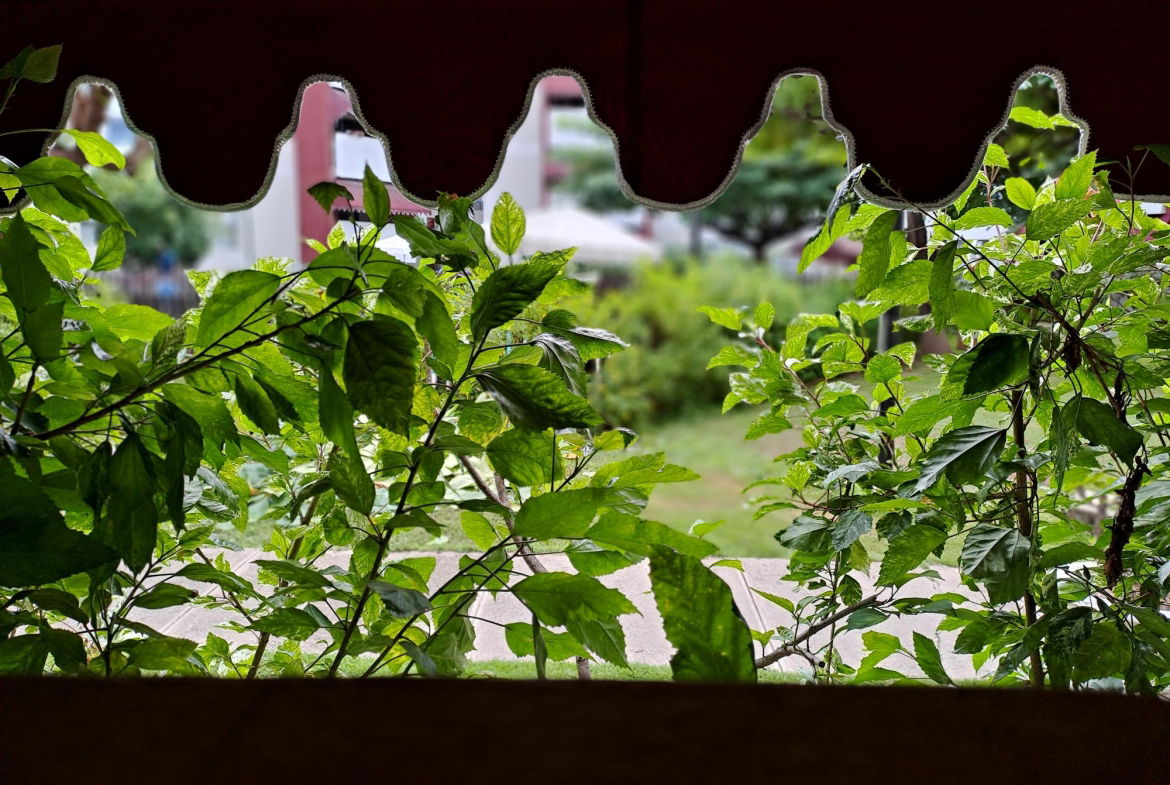 Fifth image of Abbey Court, Trafalgar rd in Kingston 10, St. Andrew, Jamaica - property is For Rent