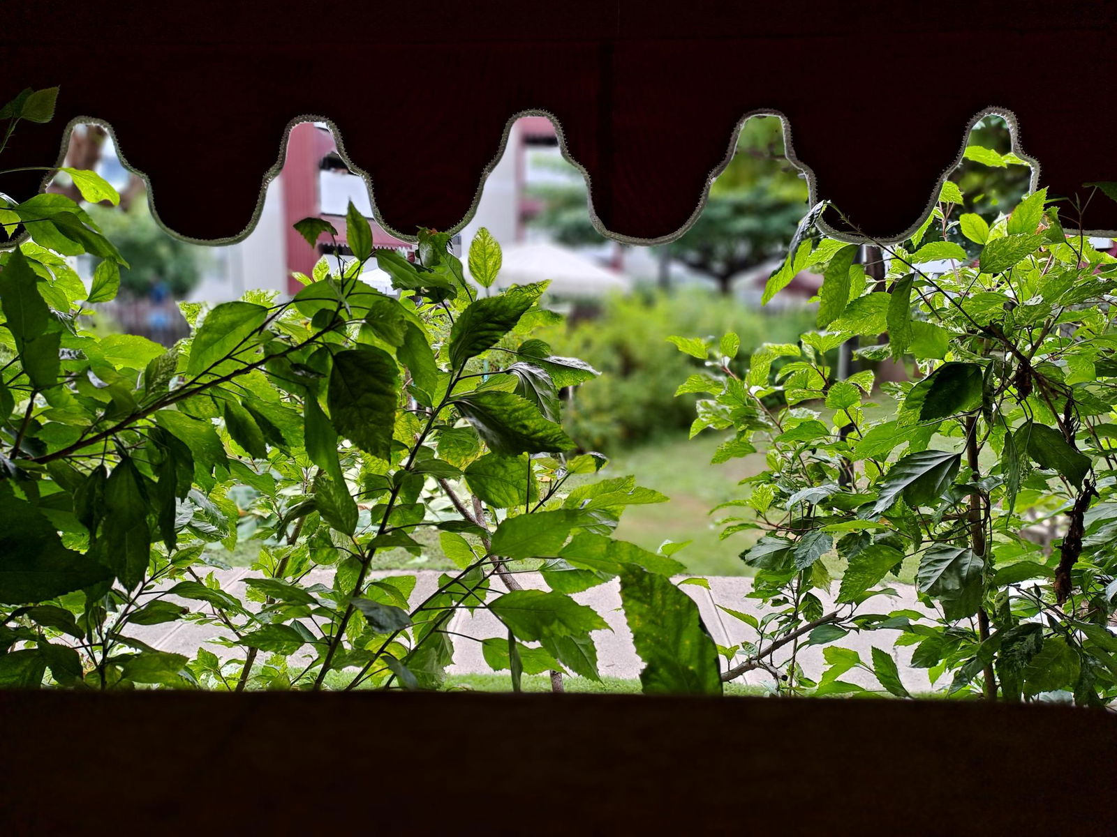 Fifth image of Abbey Court, Trafalgar rd in Kingston 10, St. Andrew, Jamaica - property is For Rent