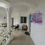 First image of 543 Arcadia Avenue in Westgate Hills, St. James, Jamaica - property is For Rent
