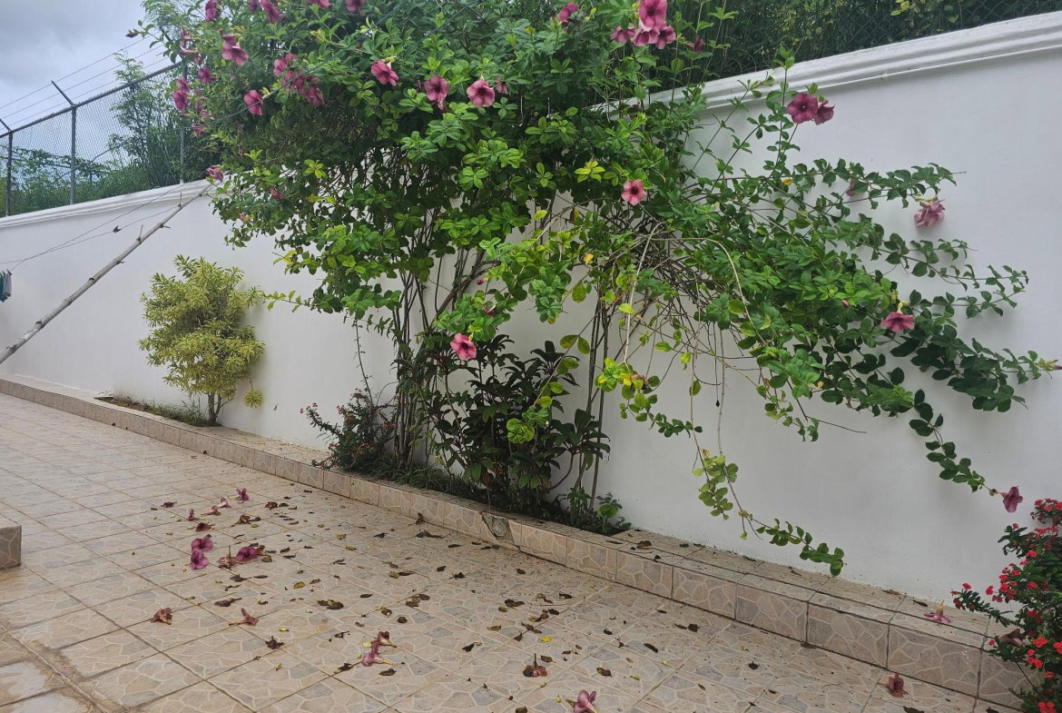 Fourth image of 543 Arcadia Avenue in Westgate Hills, St. James, Jamaica - property is For Rent