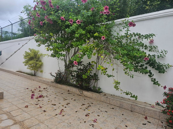 Fourth image of 543 Arcadia Avenue in Westgate Hills, St. James, Jamaica - property is For Rent