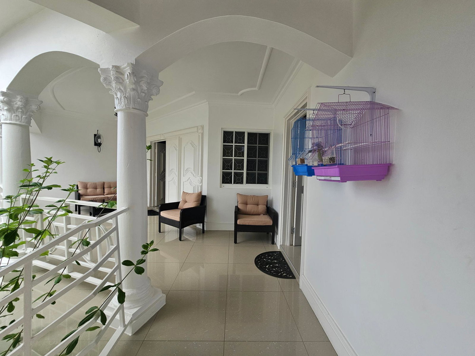 First image of 543 Arcadia Avenue in Westgate Hills, St. James, Jamaica - property is For Rent