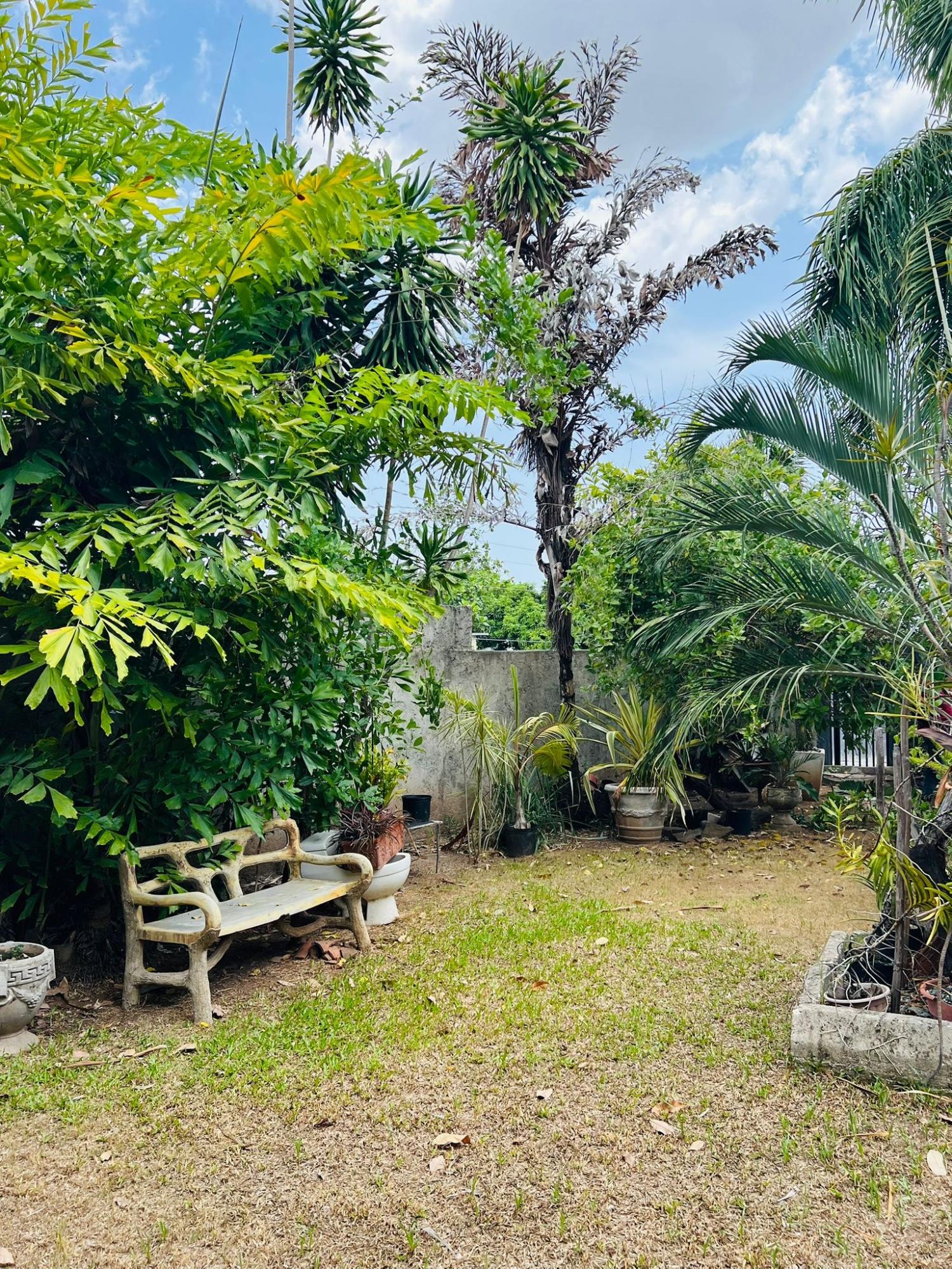 Twenty-Third image of 3 Trenton Avenue in Kingston 8, St. Andrew, Jamaica - property is For Rent